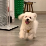 噼里啪啦