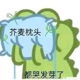 Kuromi(已nbcs)