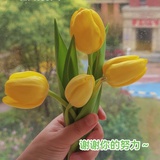 薄荷加点甜