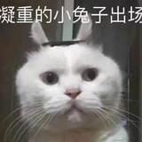 金桔柠檬