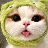 咸鸭蛋不咸