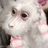 赤狐RF