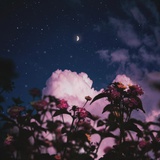 是Emily.