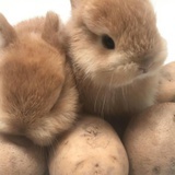 跑得很远很远