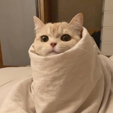 翻斗花園x女士