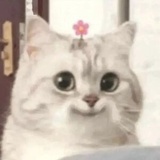叭了个叭叭