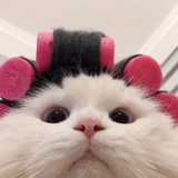 豆友237067374