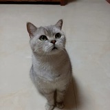 过来66