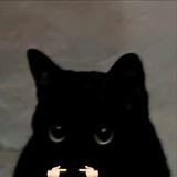 心碎熊猫