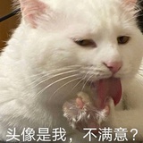 情感带师