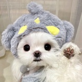 巧克力粥粥