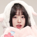 TF家族-张元英