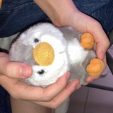 西西喜欢冰可乐