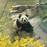 庸碌的语蓉