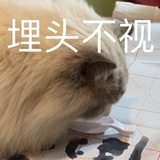 匿茗