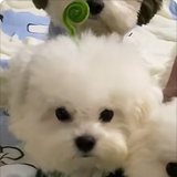 默默无闻