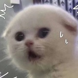 一一