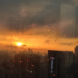 小鹿呦呦