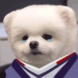 温客行（已自由