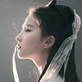 水木