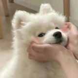 夜襲百花樓