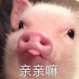 是你的Yuki姜