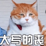 鹅鹅鹅