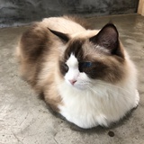 等风来