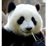 王小里