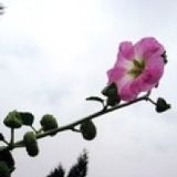 zhaoru0123