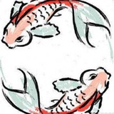 给老师dd