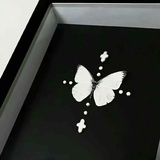 全都寿司吧