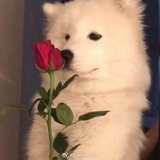 Reelkjh