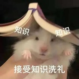 子春廿伍惹