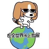 ($_&)pui