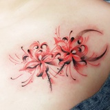 溪客缘来是稀客