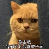 花五意