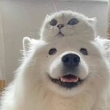 客行虽云乐