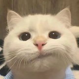 000