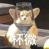 今天还是睡不着