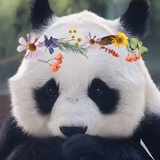 气运家