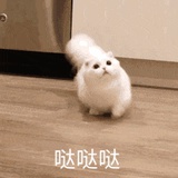石榴真好吃
