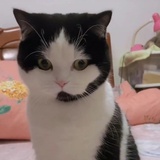 我不爱吃豆角