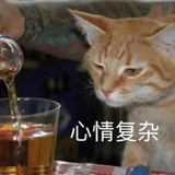积极上进干饭喵