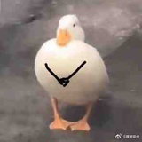 栖碧山