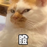 基本上没什么事