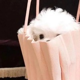 向厚赚