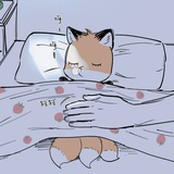 十字架怪人眯会