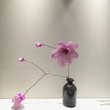 豆瓣芝士