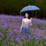 Blue blue~